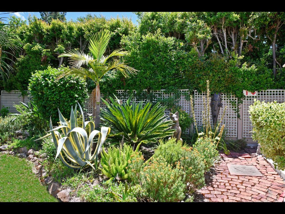 Bed and Breakfast The Coach House Franschhoek Exteriér fotografie